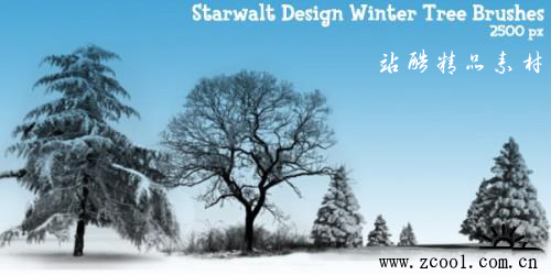 高清晰冬天的大树PS笔刷