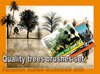 高清晰树木PS笔刷集