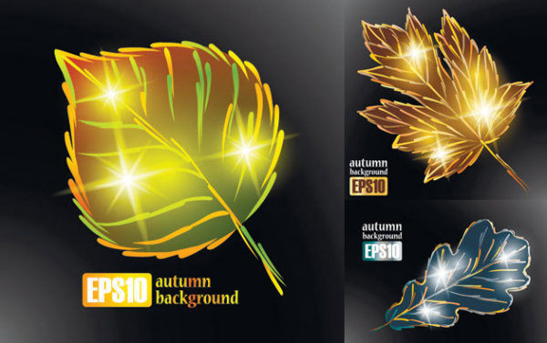 闪耀秋叶矢量素材