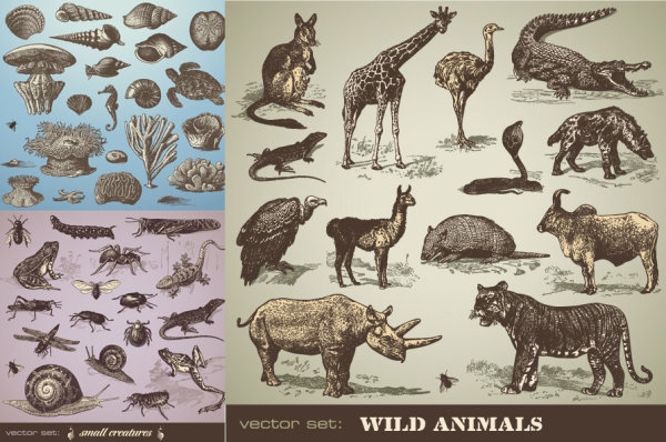 手绘动物矢量素材