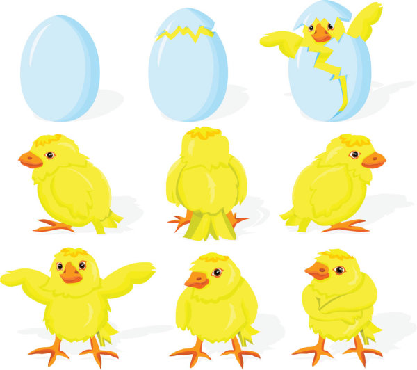 卡通小鸡破壳01&mdash;&mdash;矢量素材