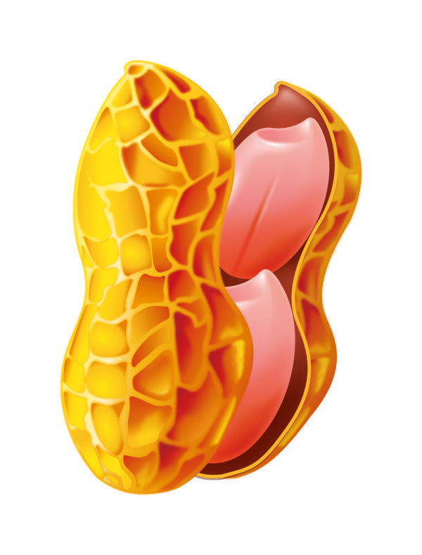 Peanut vector material