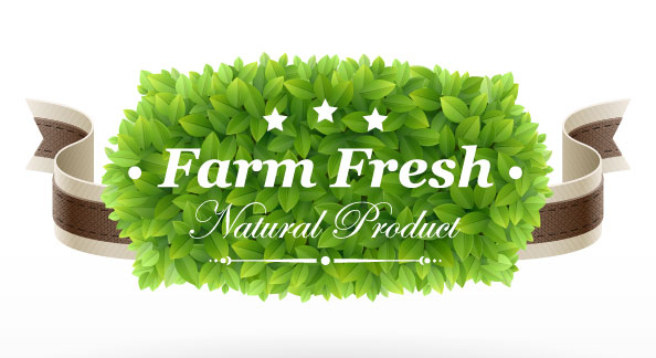 Creative green leaf shape stickers 02 - vector material