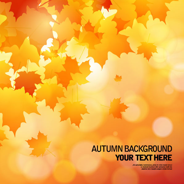 Beautiful autumn background 02 - vector material