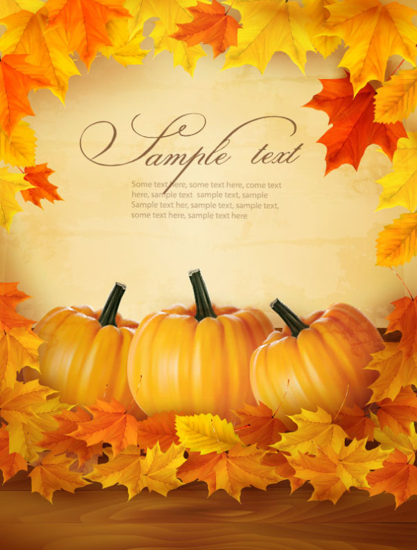 Realistic pumpkin card 02 - vector material