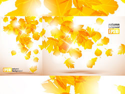 秋天树叶矢量素材