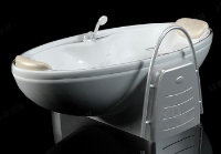 Luxurious bathtub model