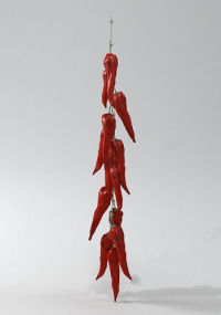 3d model of red pepper