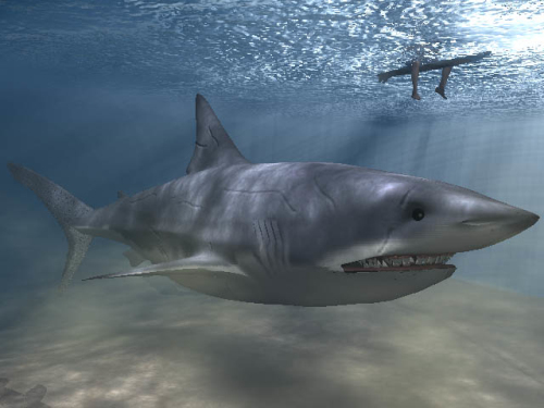 Very realistic 3d model shark