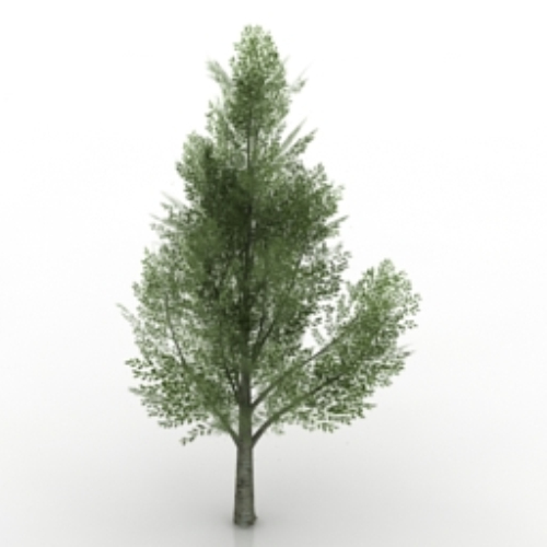 Green trees 3d model