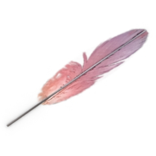 pink feather model