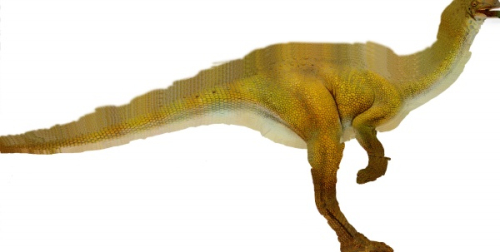 Large dinosaur 3D models