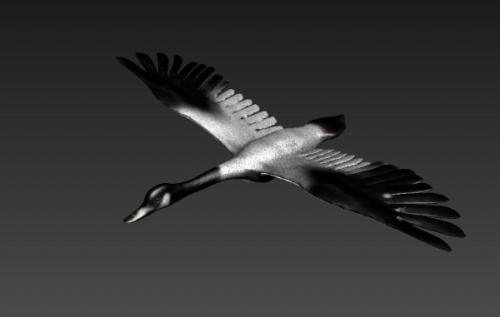 Open wings of the Swan 3D model