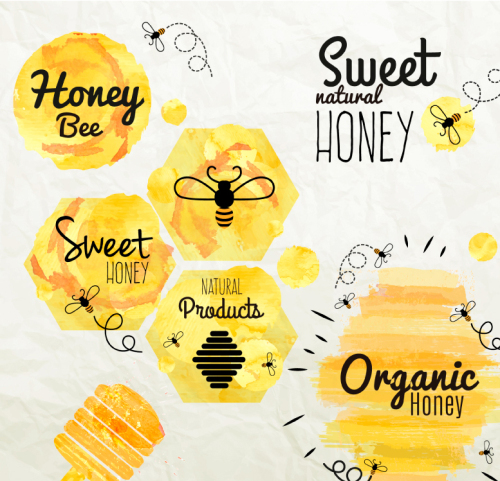 6 watercolor honey label vector map