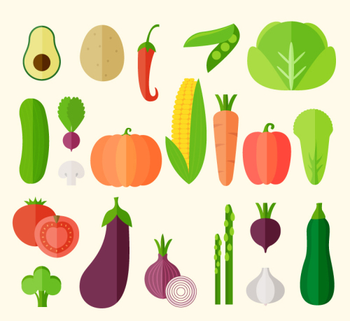 21 flat vegetable vector material