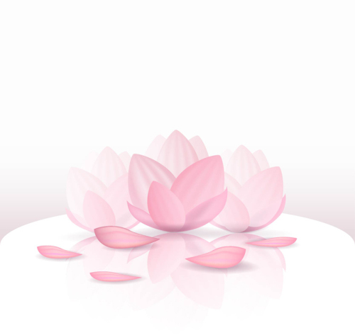 Pink lotus vector material