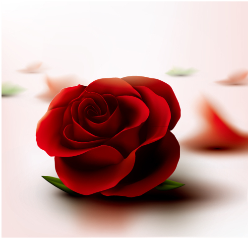 Single flower texture red roses vector material